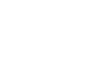 theemeraldparadigm-logo